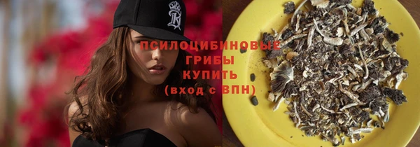 ALPHA-PVP Осинники