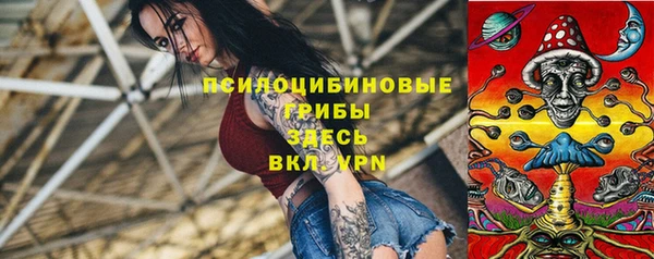 ALPHA-PVP Осинники