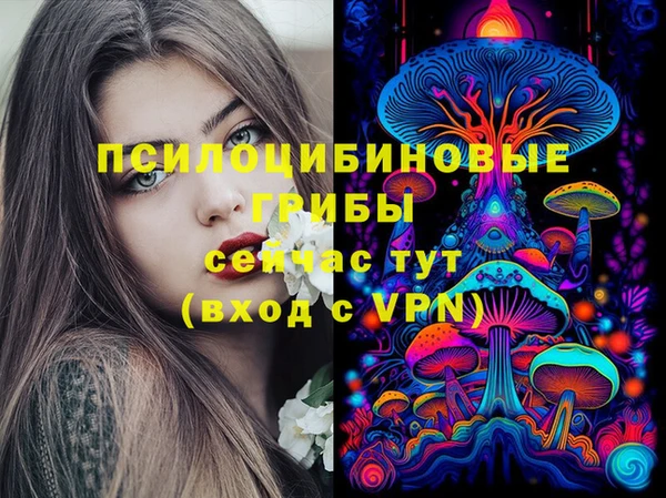 ALPHA-PVP Осинники