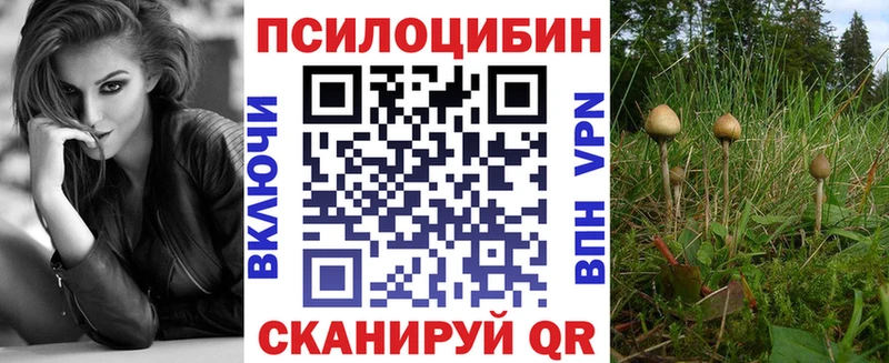 Псилоцибиновые грибы Psilocybe  Нижнеудинск 