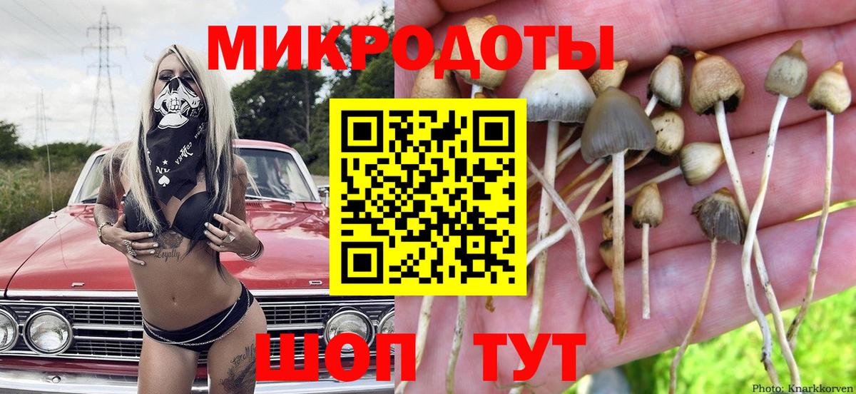 Нижнеудинск  Галлюциногенные грибы Cubensis  Вход с VPN  Галлюциногенные грибы GOLDEN TEACHER 