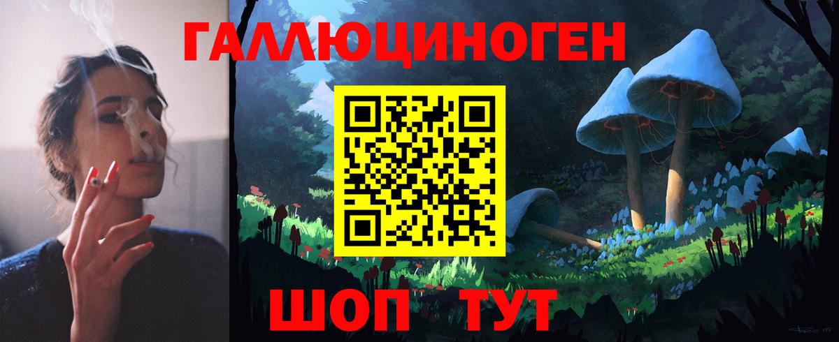 Псилоцибиновые грибы Cubensis Нижнеудинск